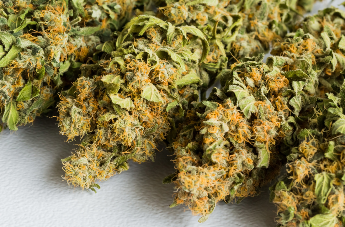 Delta 8 Pre-roll Joints: Best brands and where to buy from!