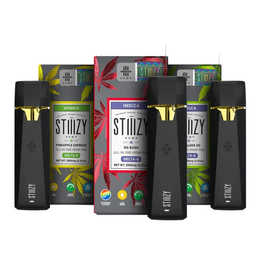 Stiiizy Delta 8 Disposable Vape 2g