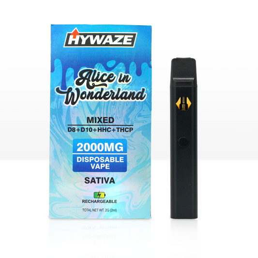 HYWAZE 2g Premium Mixed Disposables